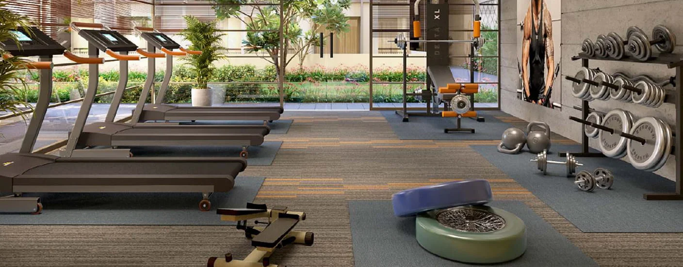 Nexus Prime Square Moshi Gymnasium Image